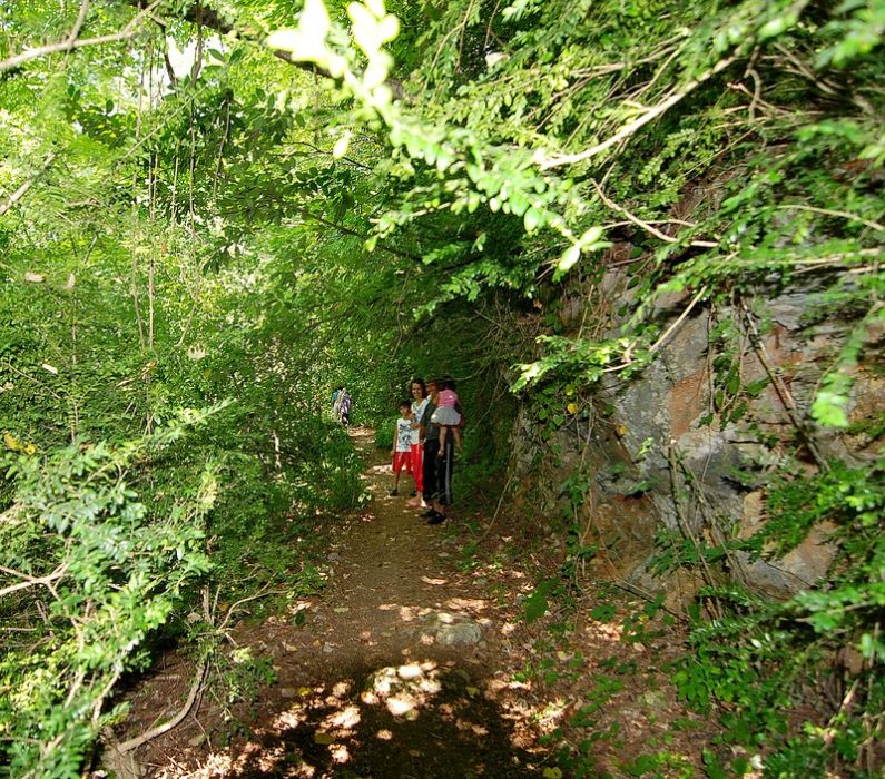 DSC_0822.jpg