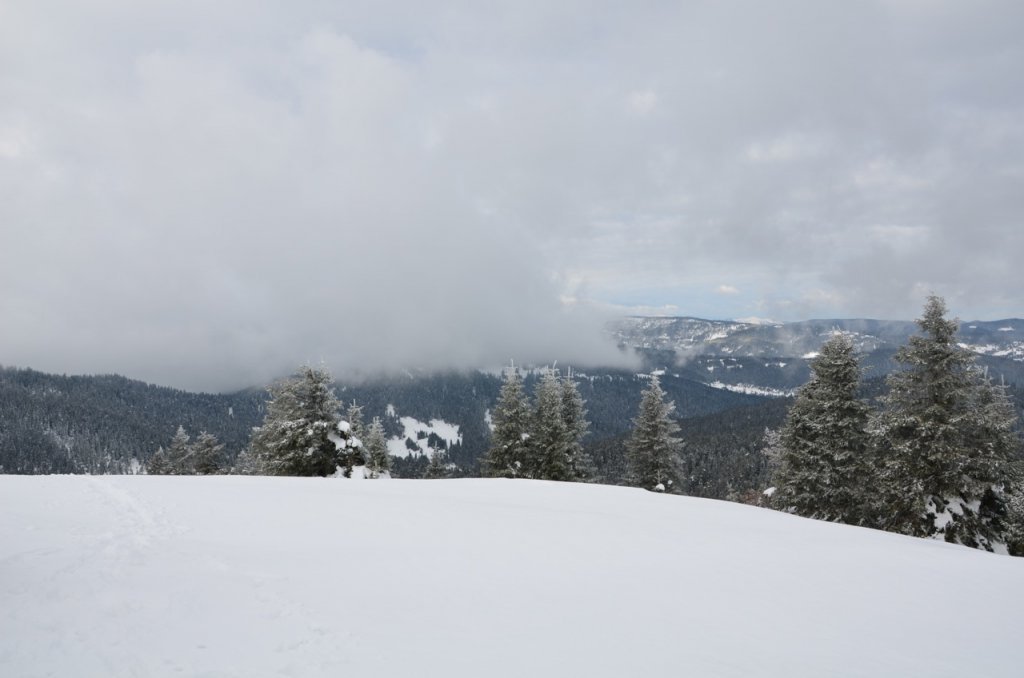 DSC_0837.jpg