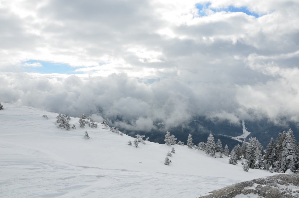 DSC_0851.jpg