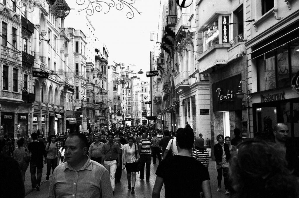 DSC_0871.gif
