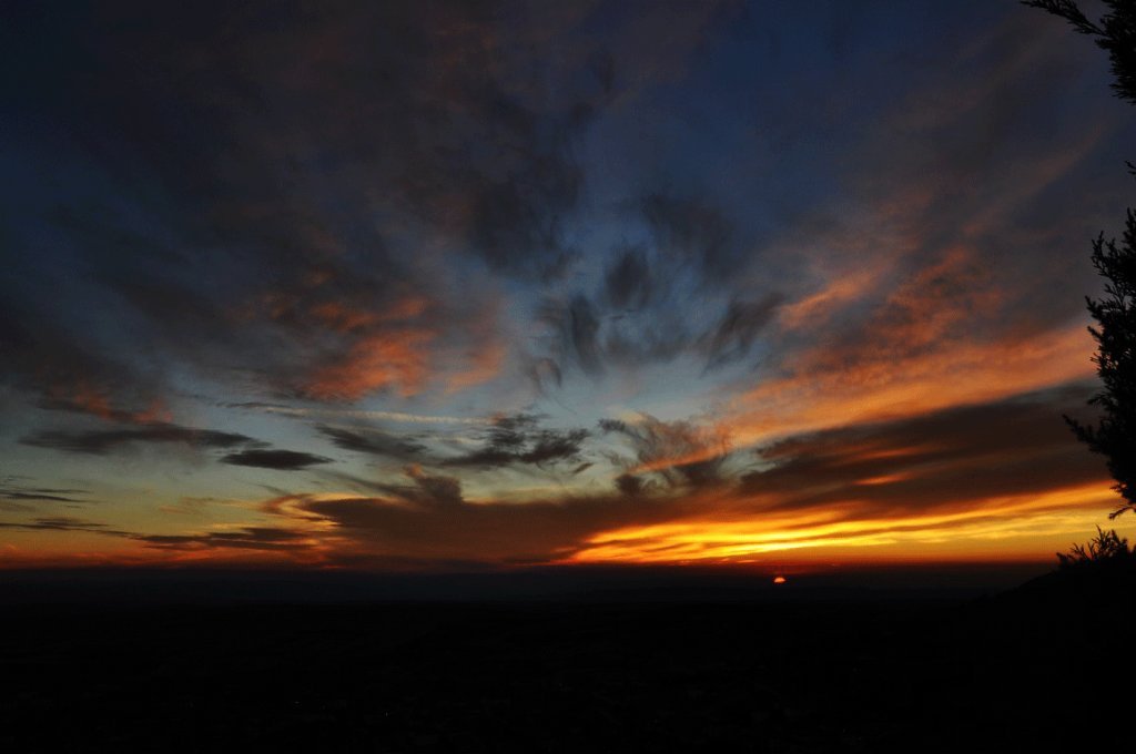 DSC_0892.gif