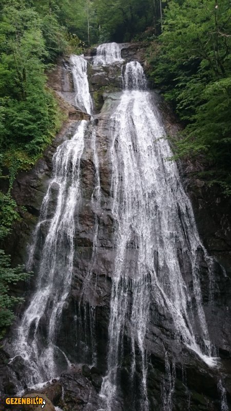 DSC_0945.JPG