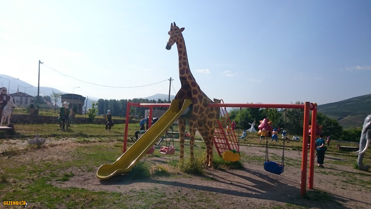 DSC_0954.JPG