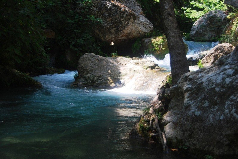 DSC_0961.JPG