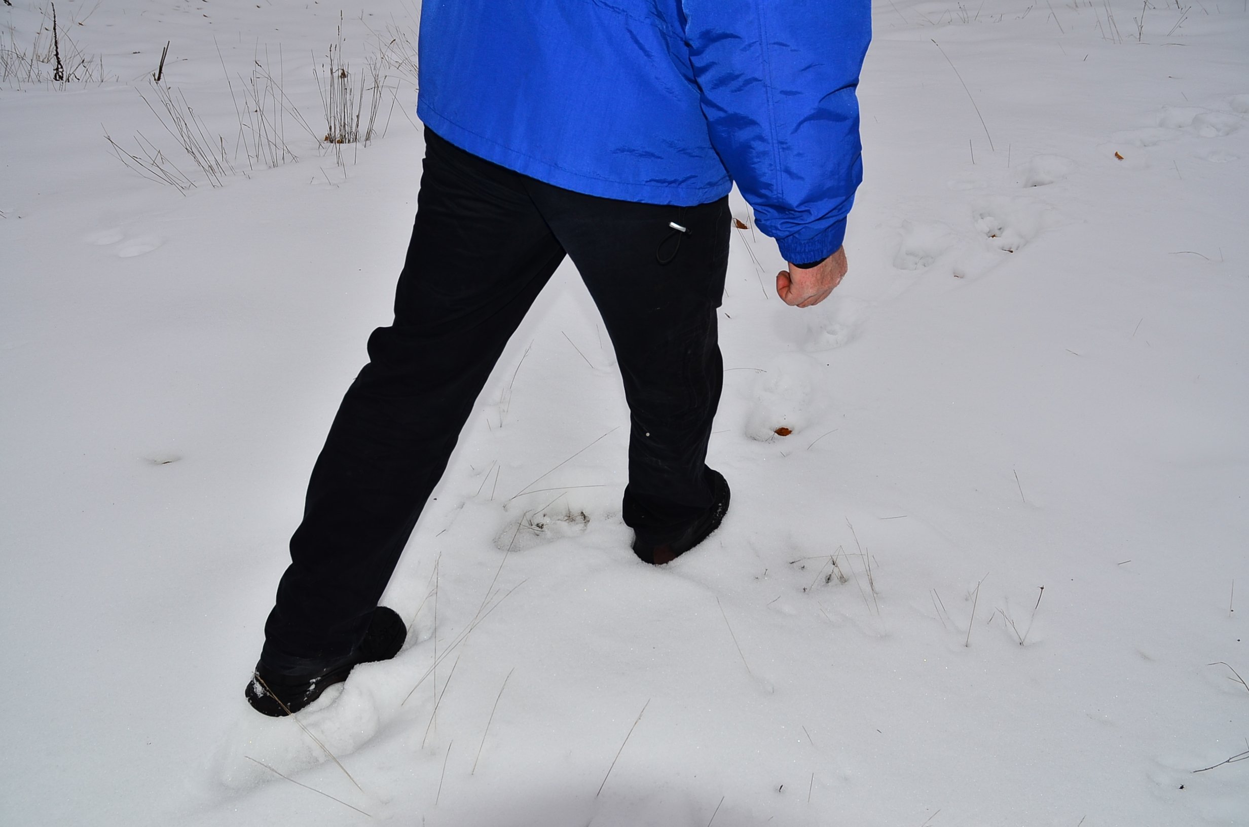 DSC_0967.jpg