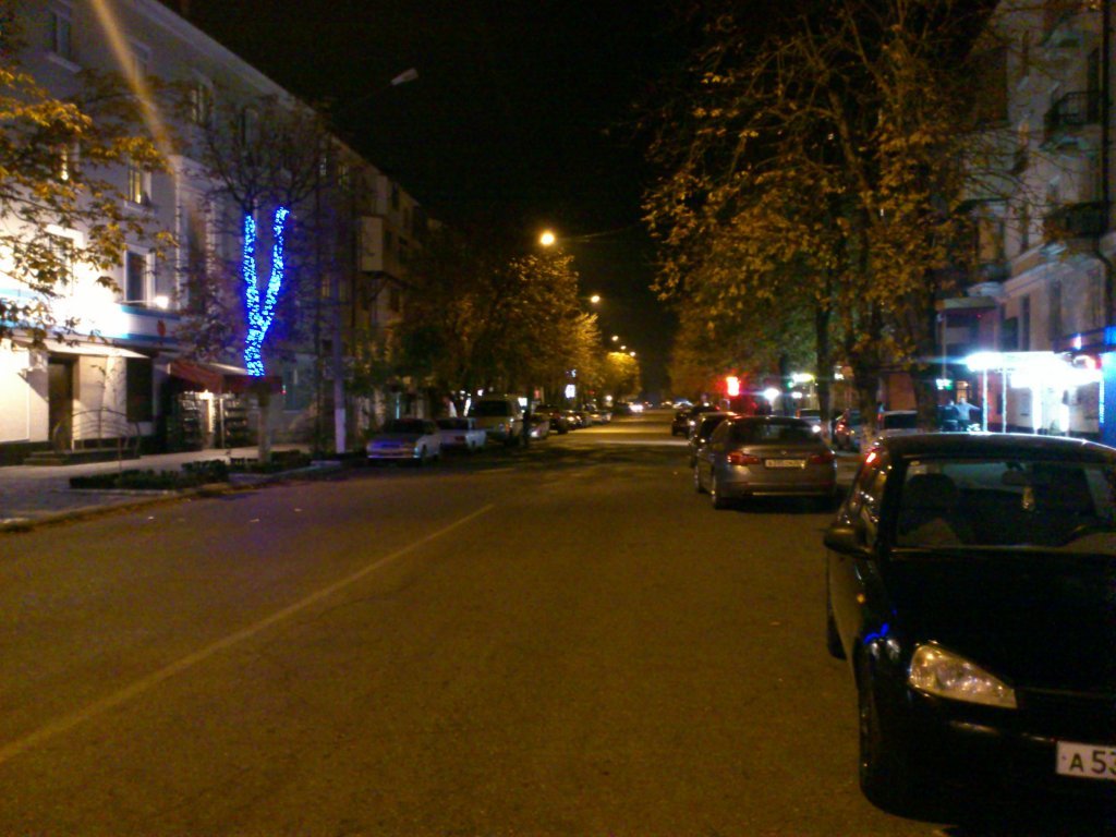 DSC_0981 - Kopya.jpg