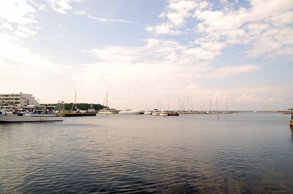 DSC_1150-001.JPG