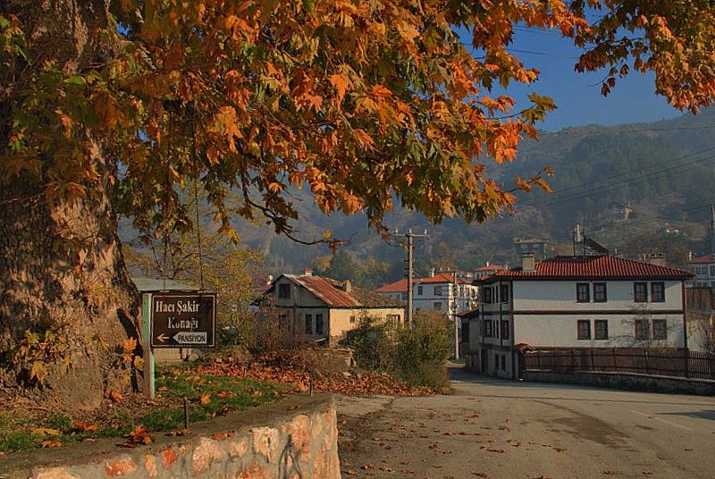 DSC_1156.jpg