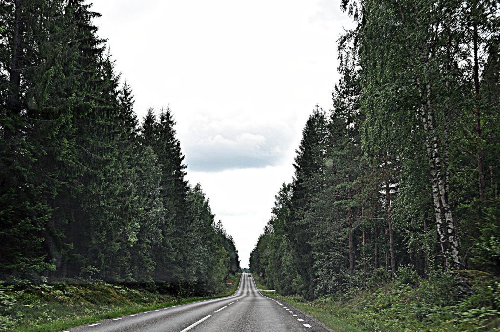 DSC_1167-001.JPG