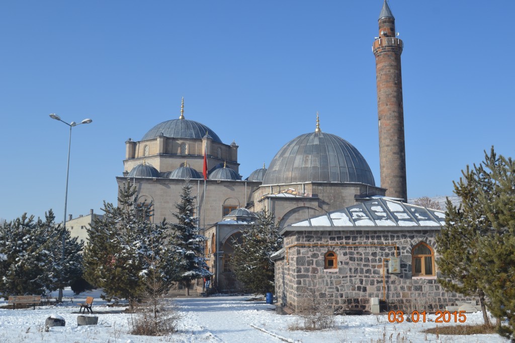DSC_1180.JPG