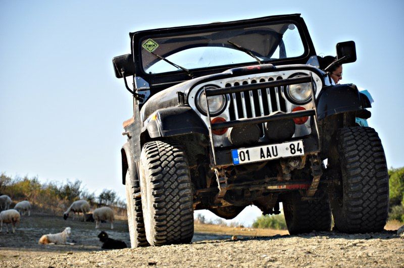 DSC_1203 [800x600].jpg