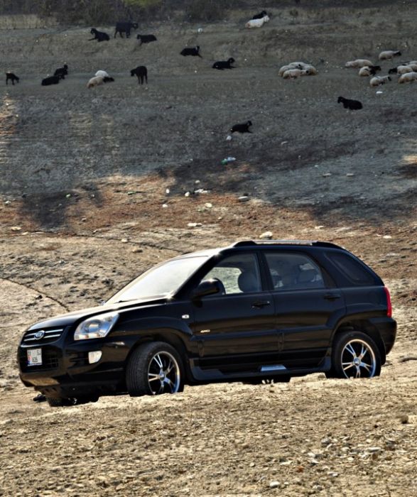 DSC_1209 [800x600].jpg