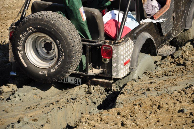 DSC_1239 [800x600].jpg