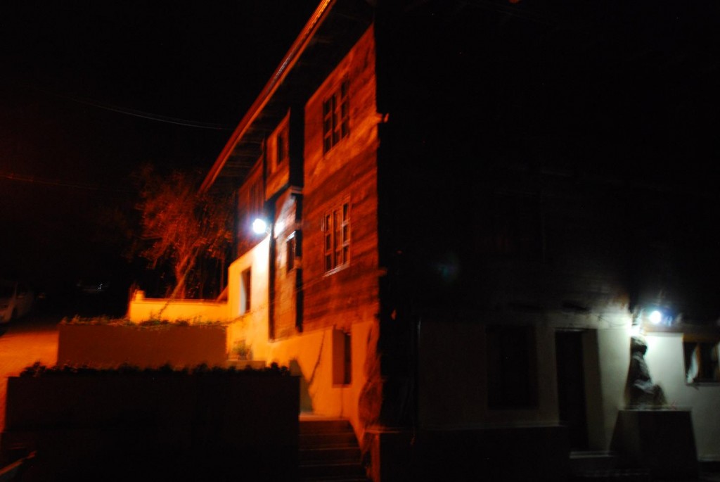 DSC_1284.jpg