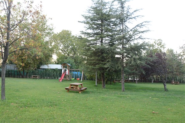 DSC_1336.jpg