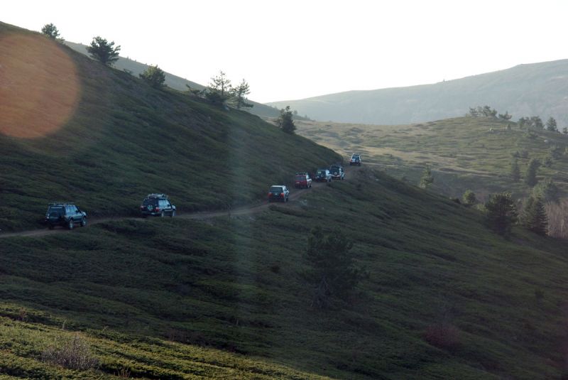 DSC_1411.jpg