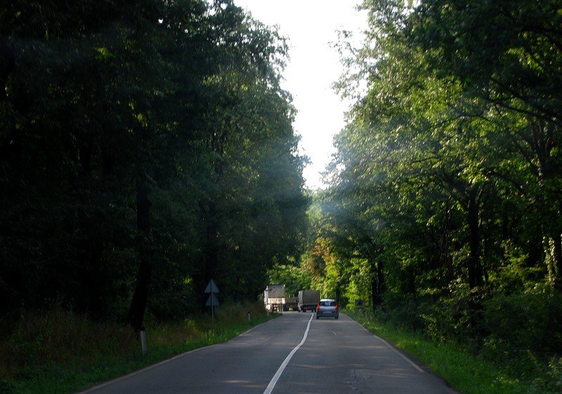 DSC_1453.JPG