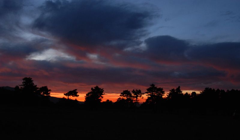 DSC_1465.jpg