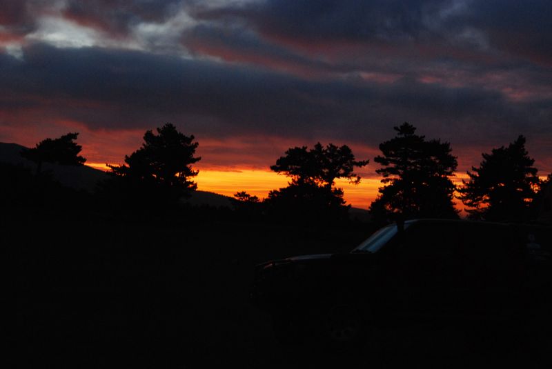 DSC_1477.jpg