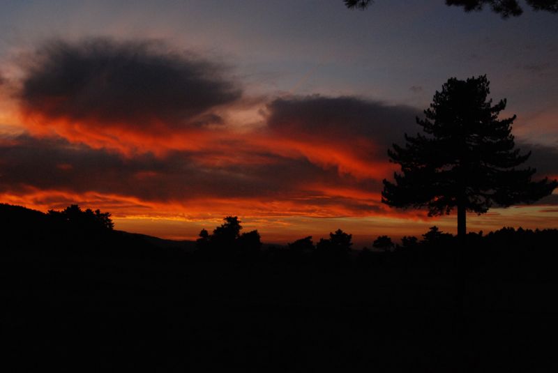 DSC_1490.jpg