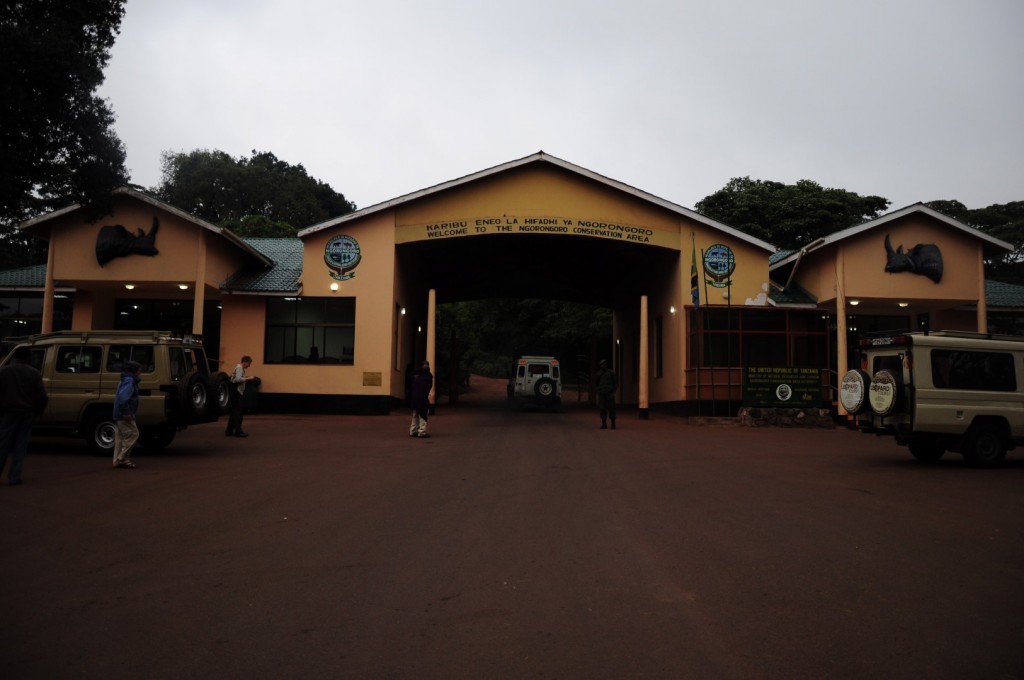 DSC_1502 (Large).JPG