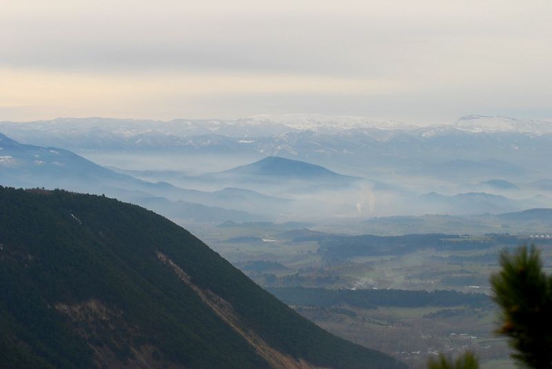 DSC_1514.jpg