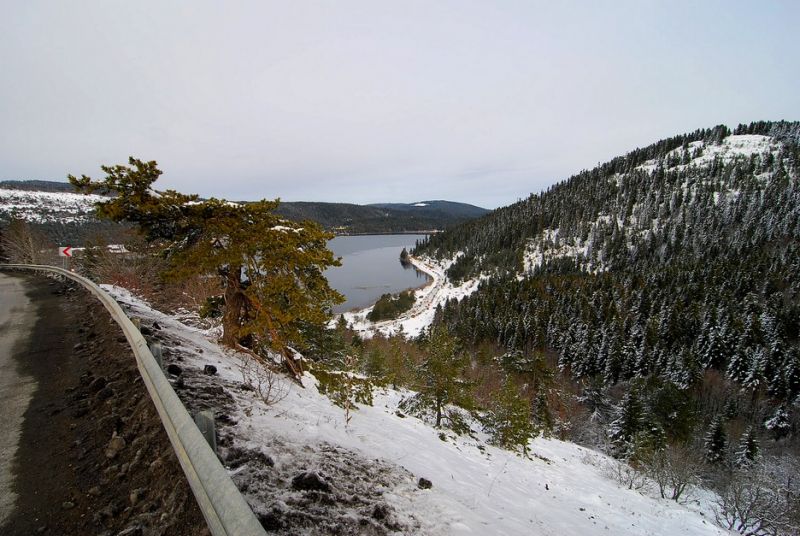DSC_1519.jpg