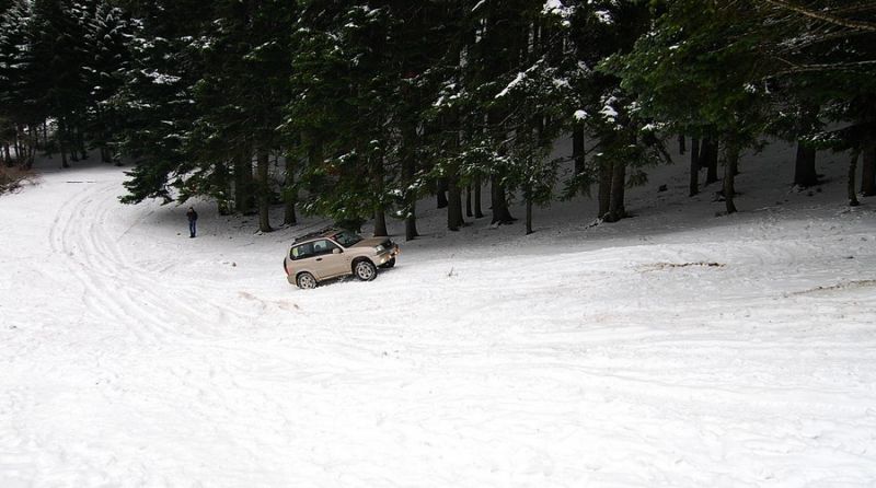 DSC_1530.jpg