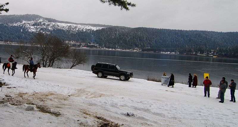DSC_1547.jpg