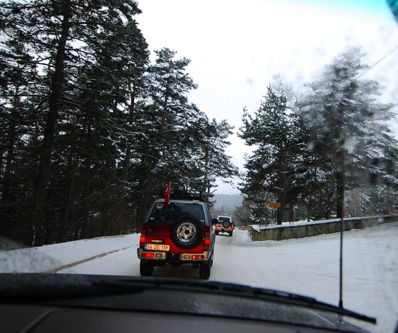 DSC_1550.jpg