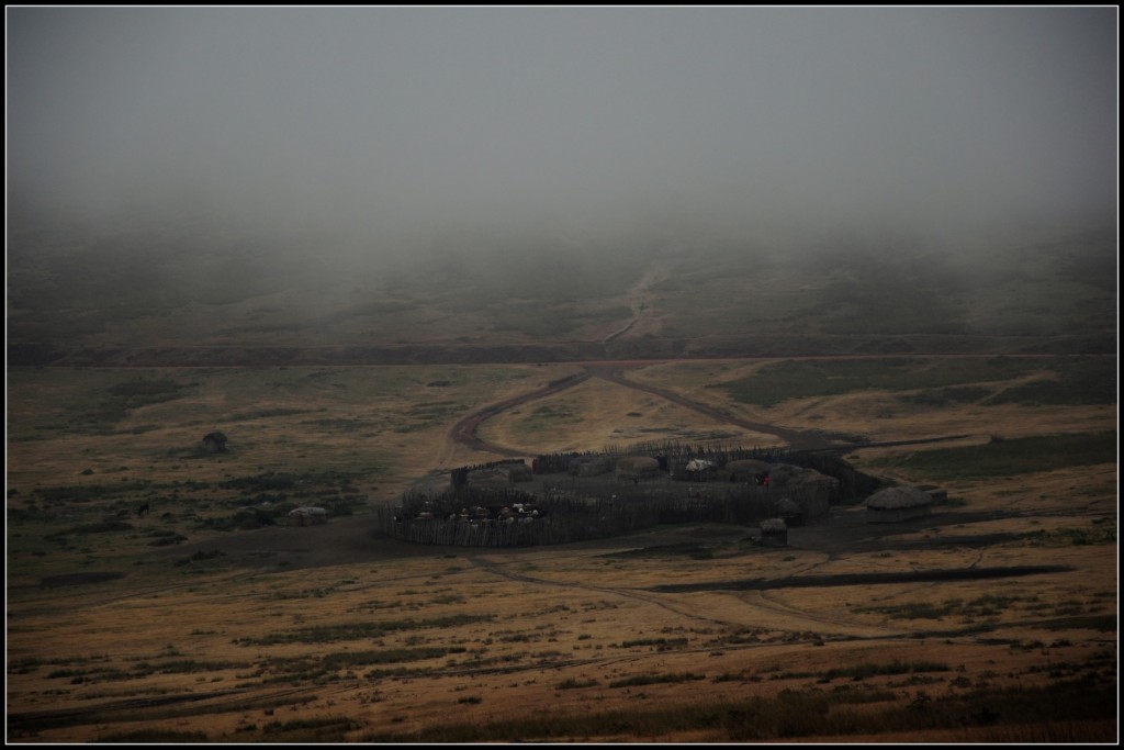 DSC_1643 (Large).JPG