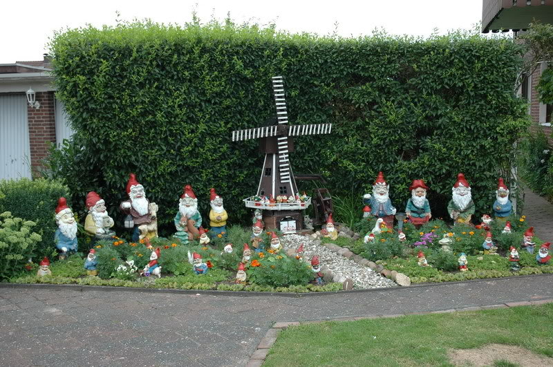 DSC_1768_resize.jpg