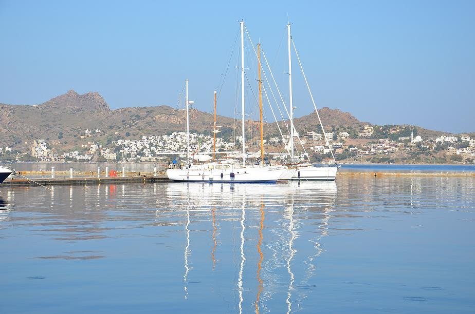 DSC_1813.JPG