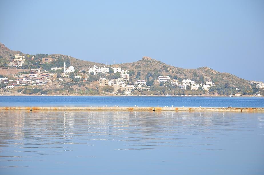 DSC_1817.JPG