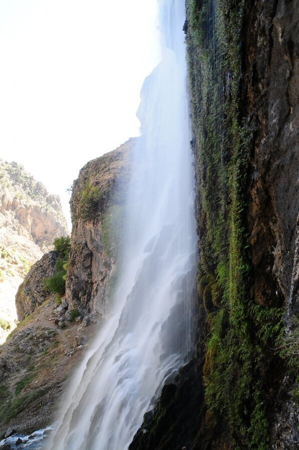 DSC_2220.JPG