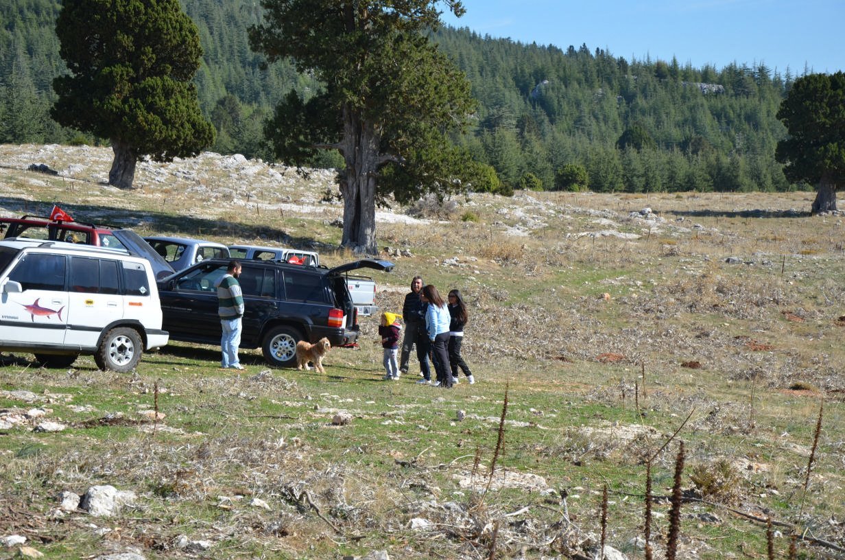 DSC_2299.jpg