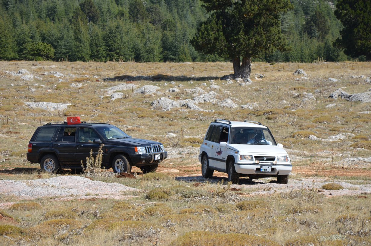 DSC_2315.jpg