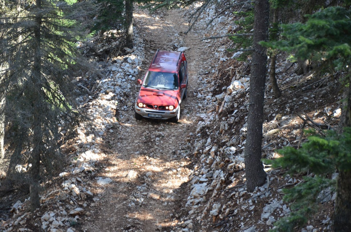 DSC_2320.jpg