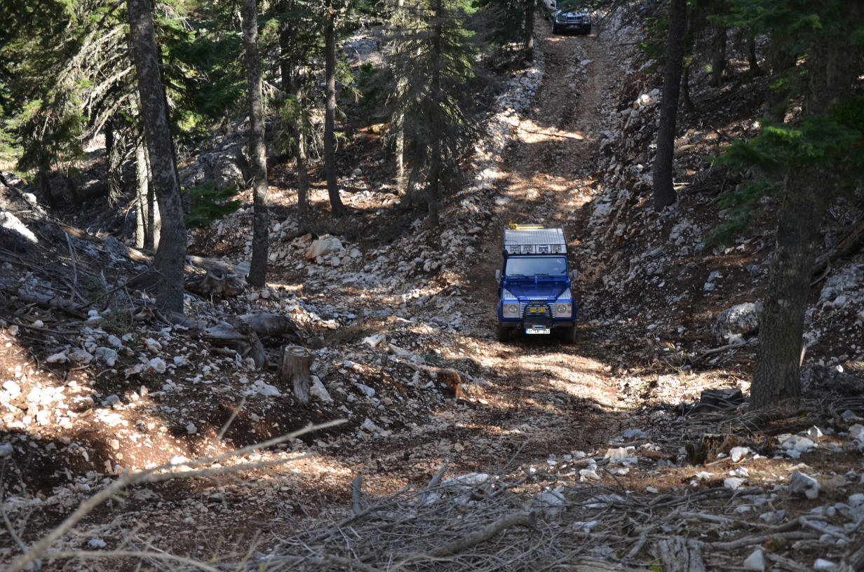 DSC_2331.jpg