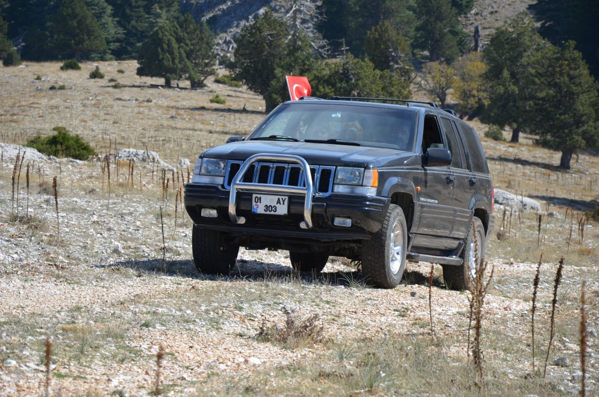 DSC_2375.jpg