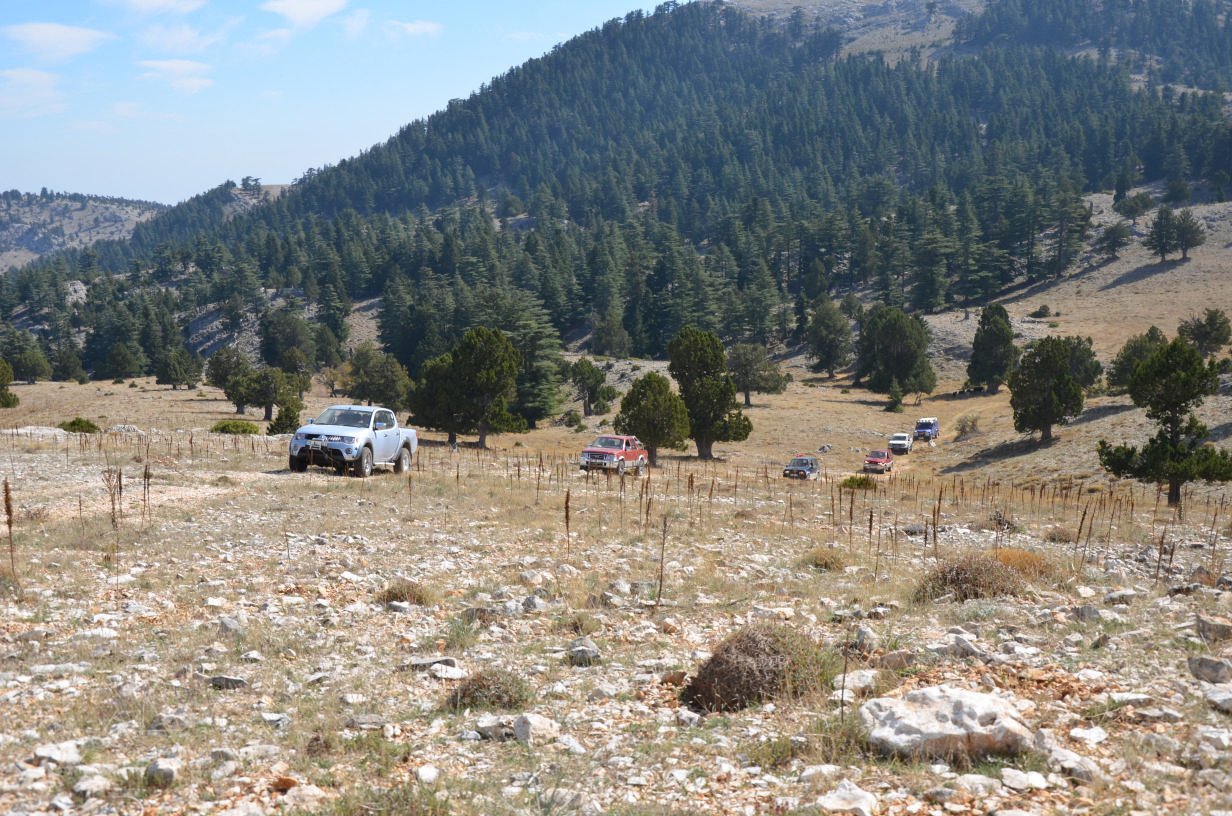 DSC_2379.jpg