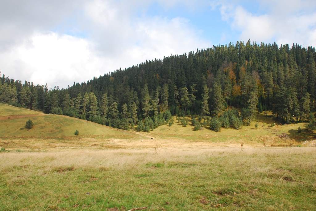 DSC_2383.JPG