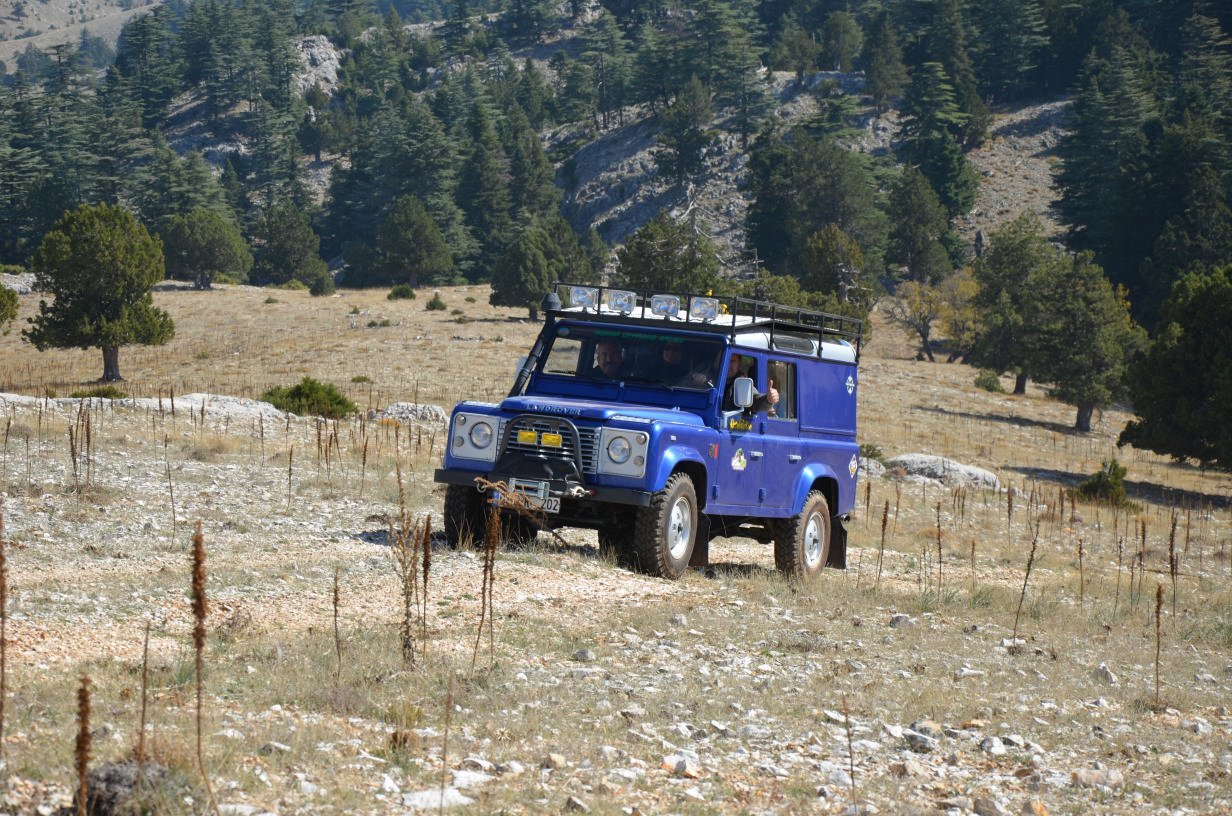 DSC_2388.jpg