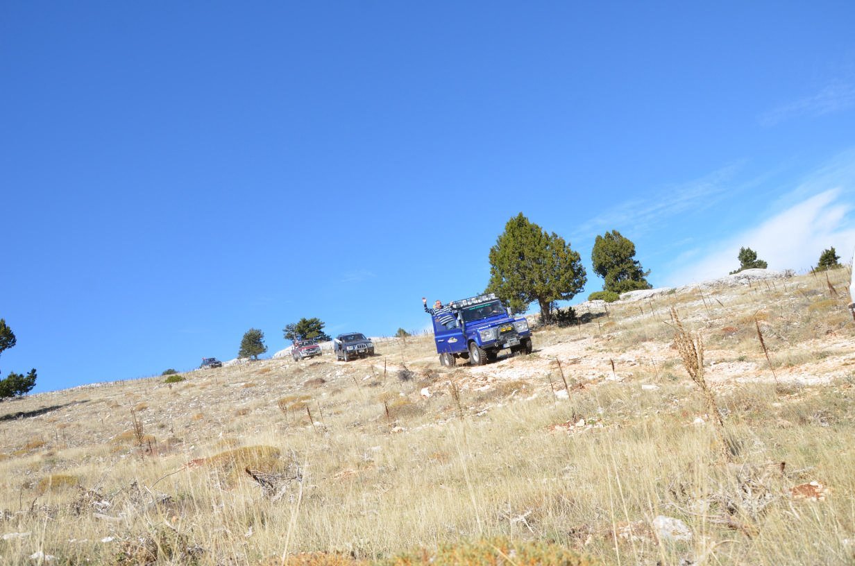DSC_2434.jpg