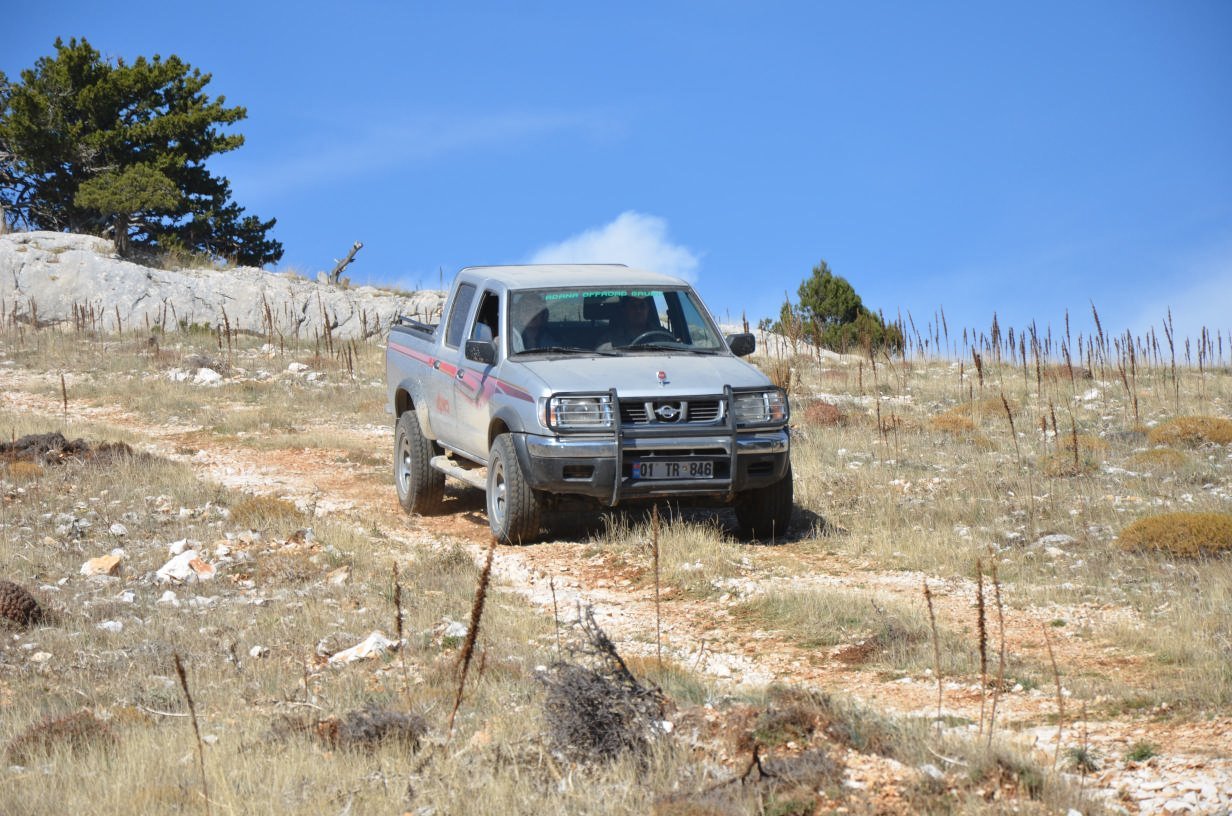 DSC_2443.jpg