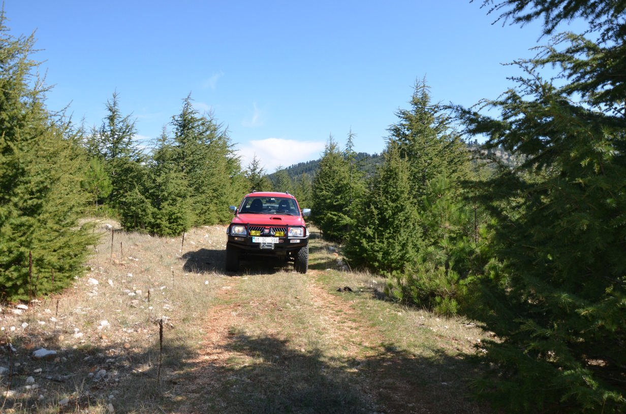 DSC_2453.jpg