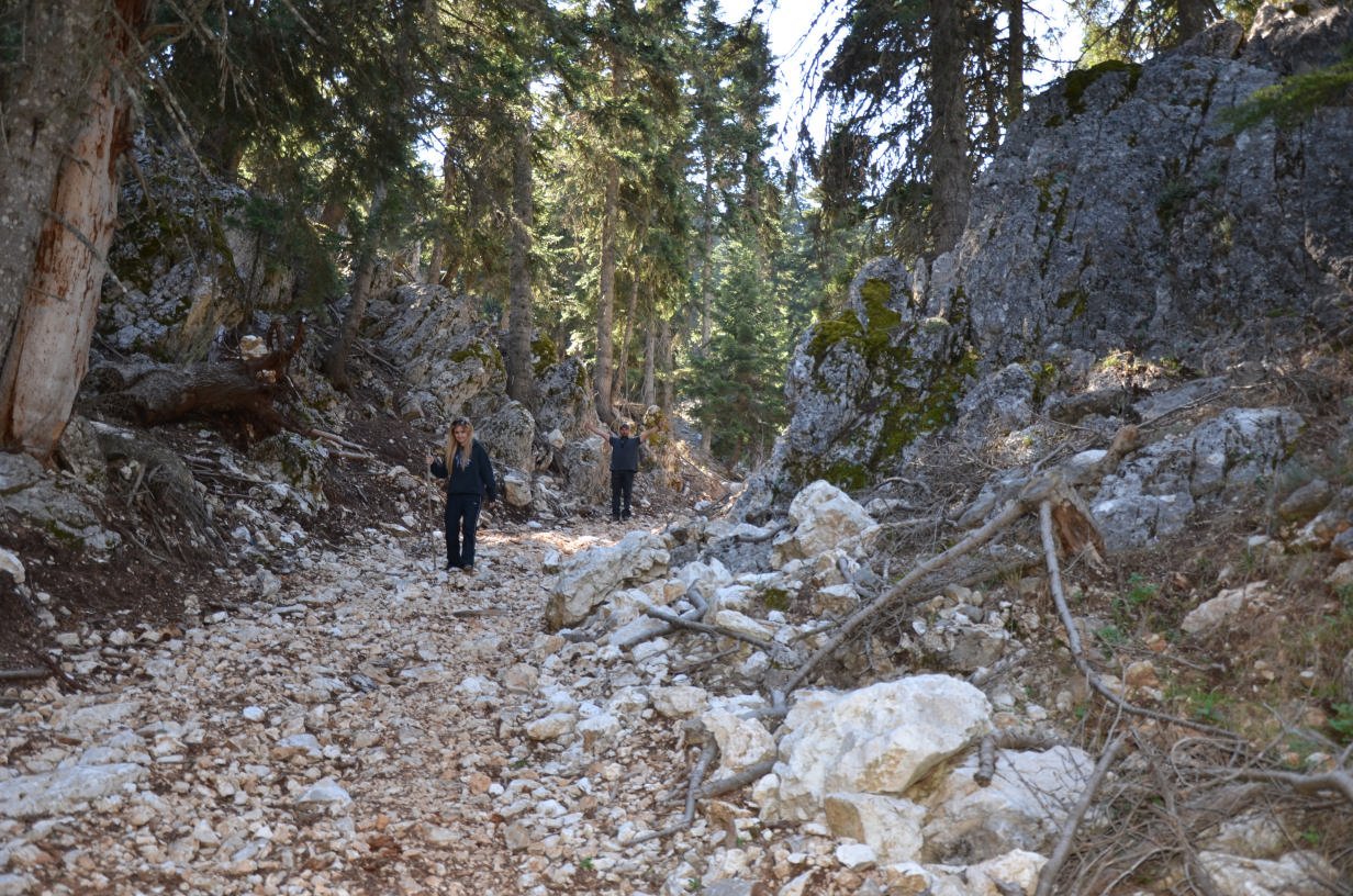DSC_2461.jpg