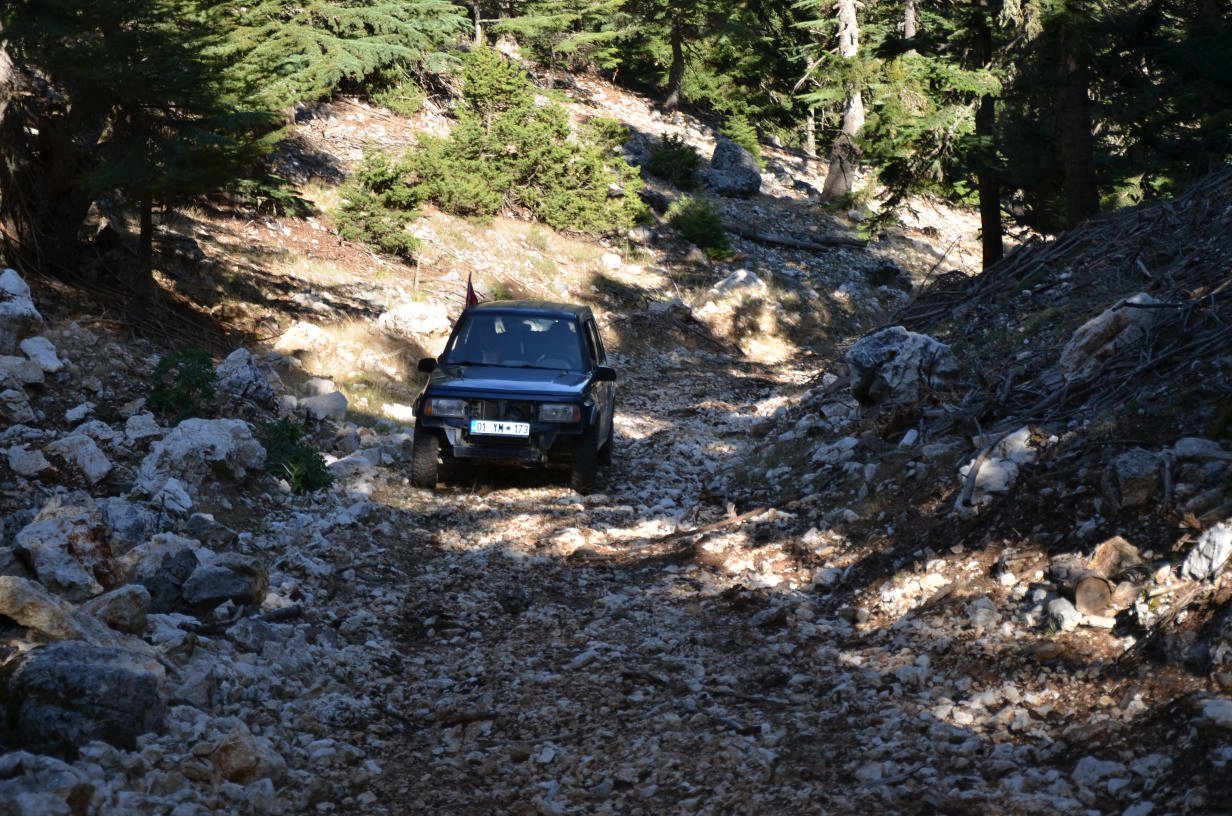 DSC_2463.jpg