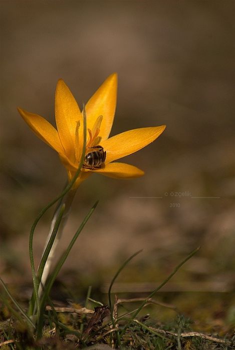 DSC_2508.jpg