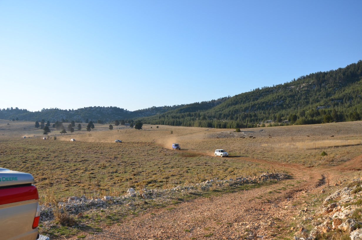 DSC_2519.jpg